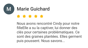 Avis Google 3