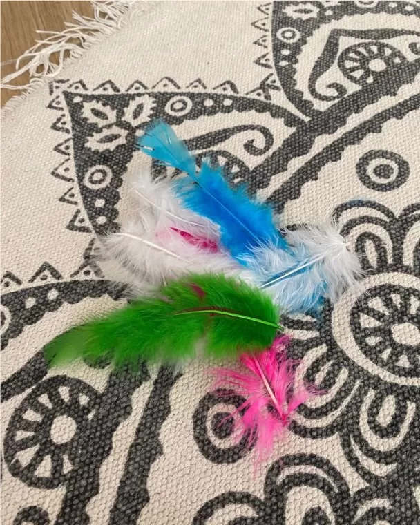 jeu sensoriel pour enfant la plume